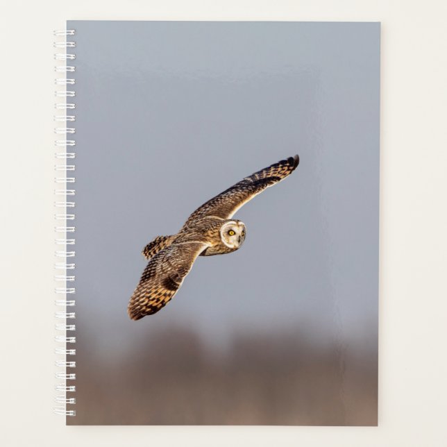2024 Short-Eared Owl Planner (Front)