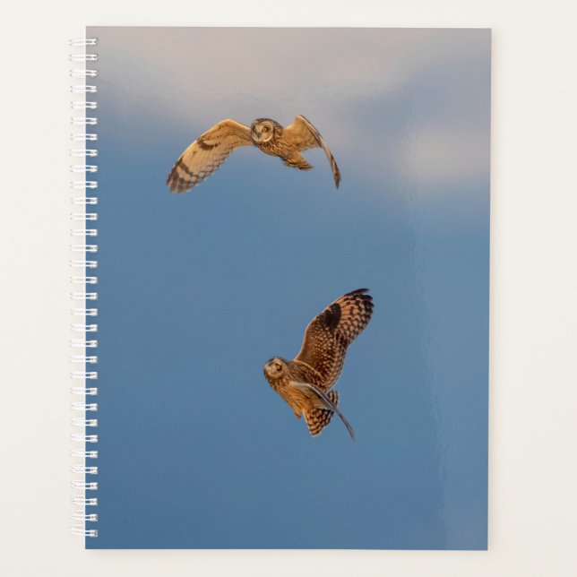 2024 Short-Eared Owls Planner (Front)