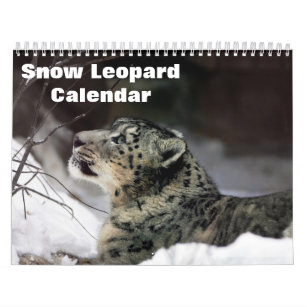 2024 Snow leopard Calendar
