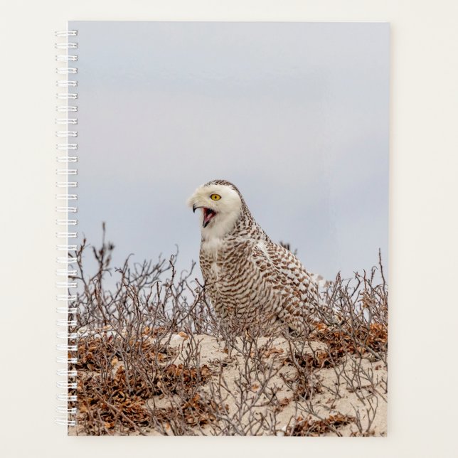 2024 Snowy Owl Planner (Front)