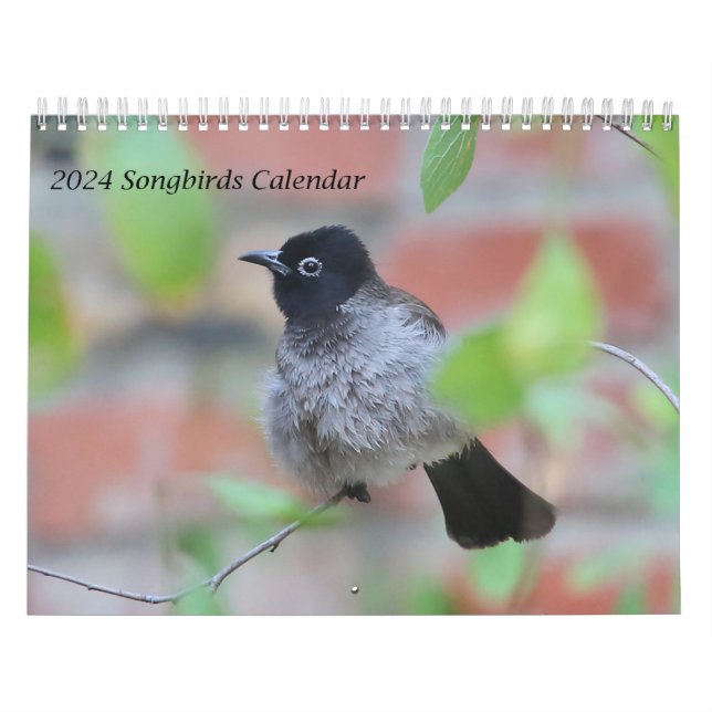 2024 Songbirds Calendar (Cover)
