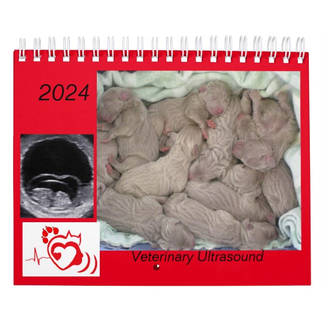 2024 Veterinary Ultrasound Imaging  Calendar (Cover)