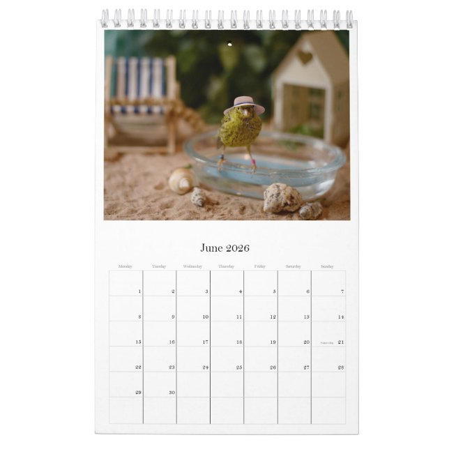 2024 Wall Calendar Cute Birds Pets Canary (Jun 2026)