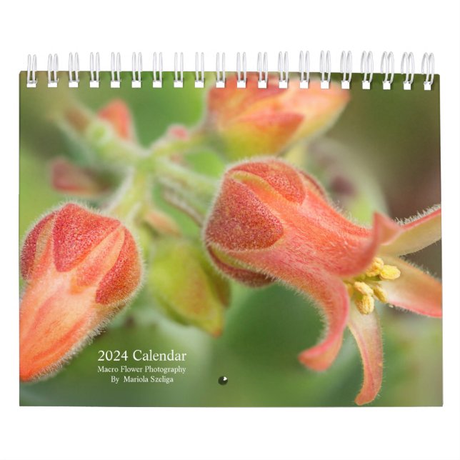 2024 Wall Calendar Flowers in Macro Photography (Cover)