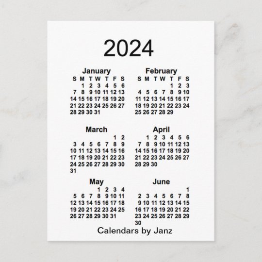 2024 White 6 Month Mini Calendar by Janz Postcard