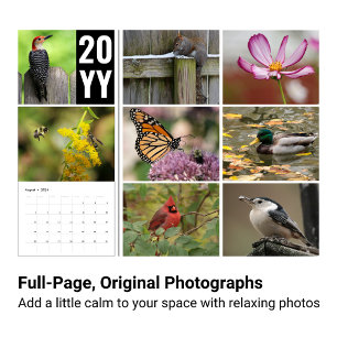 2024 Wildlife Photography Calendar 