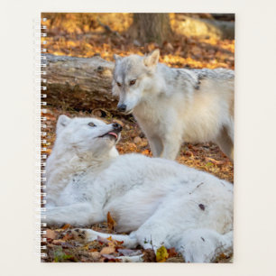 2024 Wolf Planner