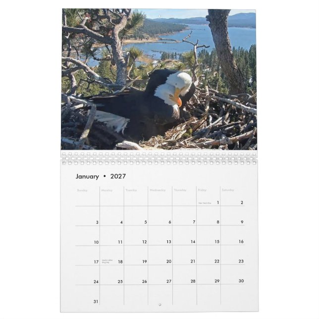 2025-2026 Big Bear Eagles Calendar  (Jan 2027)