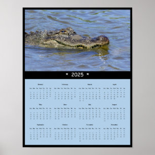 2025 Alligator Wall Calendar Poster