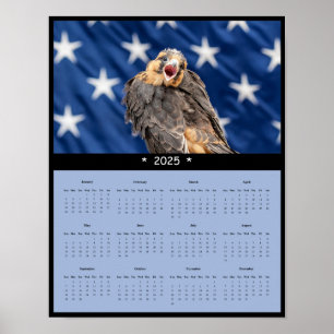 2025 Aplomado Falcon Calendar Poster