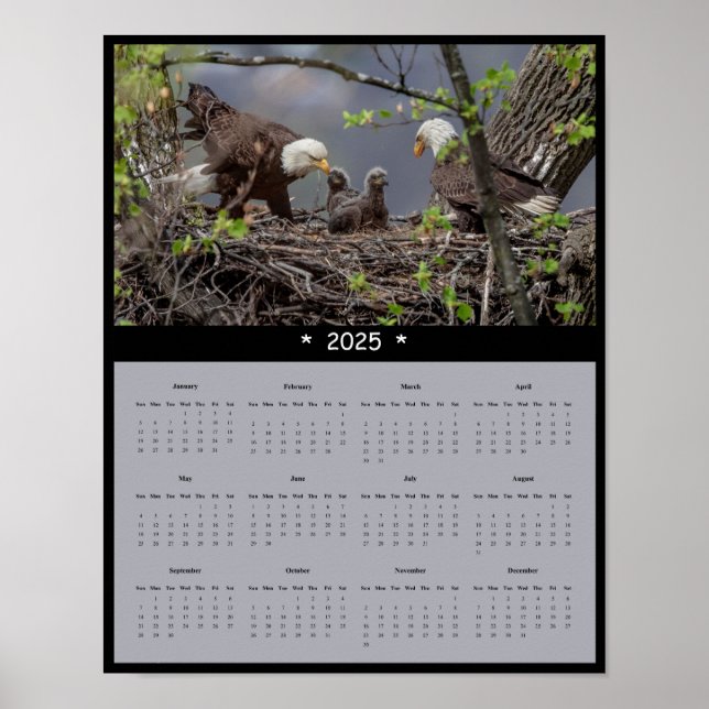 2025 Bald Eagle Wall Calendar Poster (Front)