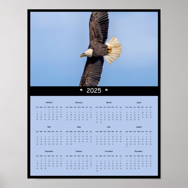 2025 Bald Eagle Wall Calendar Poster (Front)