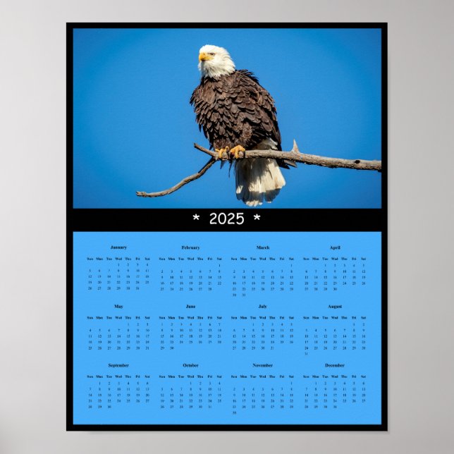 2025 Bald Eagle Wall Calendar Poster (Front)