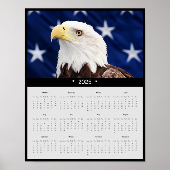 2025 Bald Eagle Wall Calendar Poster (Front)
