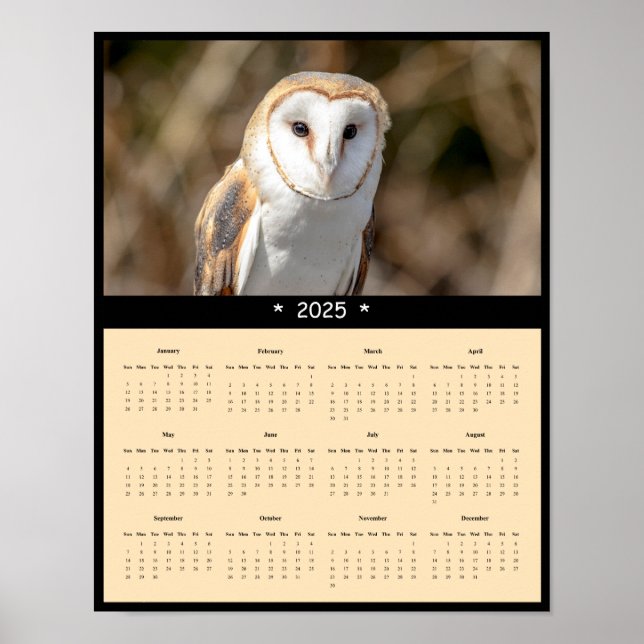 2025 Barn Owl Wall Calendar Poster (Front)