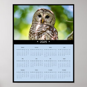 2025 Barred Owl Wall Calendar Poster
