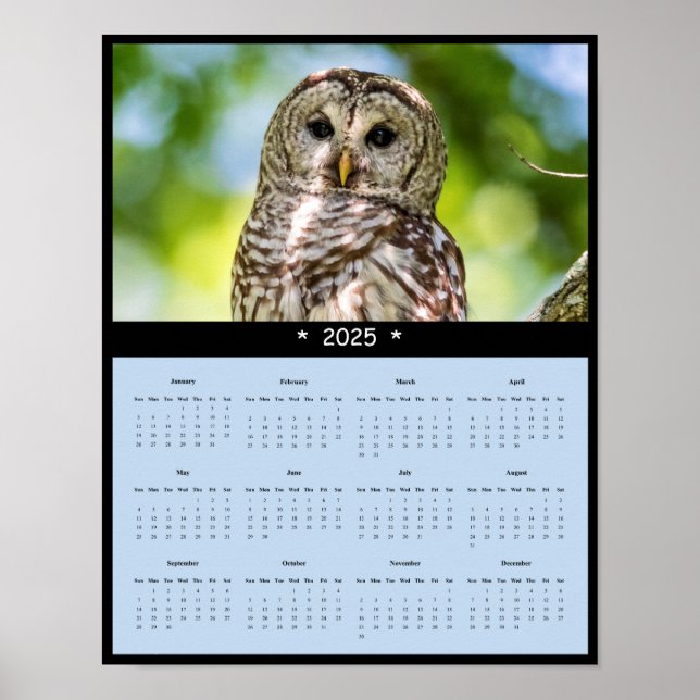 2025 Barred Owl Wall Calendar Poster (Front)