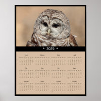 2025 Barred Owl Wall Calendar Poster