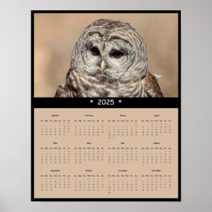 2025 Barred Owl Wall Calendar Poster