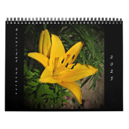 2025 Beautiful Flowers Wall Calendar Medium Size