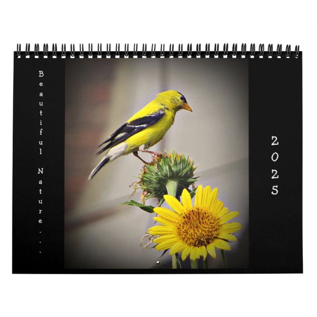 2025 Beautiful Nature Wall Calendar Medium Size (Cover)
