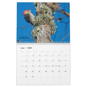 2025 Birding for Woodpeckers Calendar