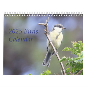 2025 Birds Calendar