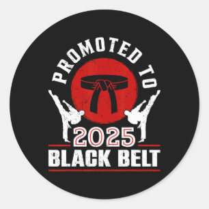 2025 Black Belt Achievement Tang Soo Do Karate Tae Classic Round Sticker