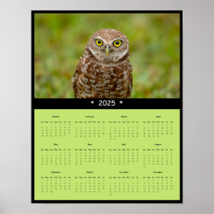 2025 Burrowing Owl Wall Calendar Poster