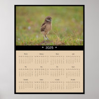 2025 Burrowing Owl Wall Calendar Poster