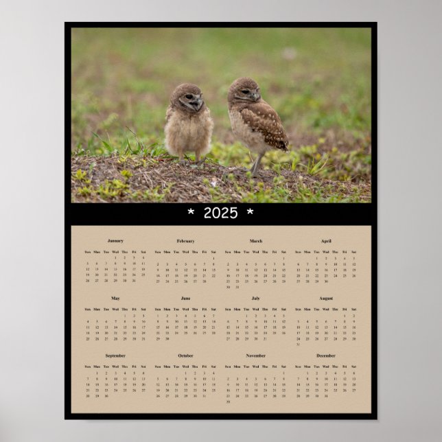2025 Burrowing Owls Wall Calendar Poster (Front)