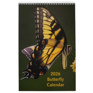 2025 Butterfly One Page Calendar