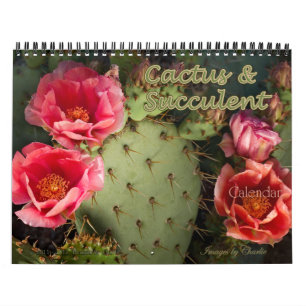 2025 Cactus & Succulent Flower (Original version) Calendar