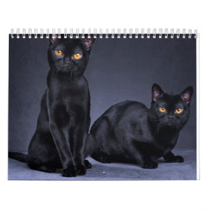 2025 CALENDAR
