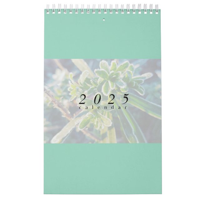 2025 Calendar (Cover)