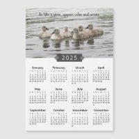2025 Calendar Baby Swans Photograph Magnet
