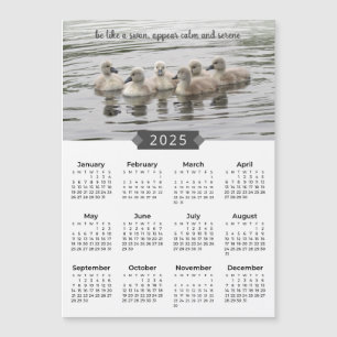 2025 Calendar Baby Swans Photograph Magnet