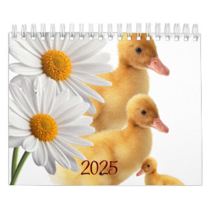 2025 Calendar Ducks Daisy Floral 
