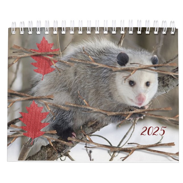 2025  Calendar Opossum Nature Wildlife  (Back)