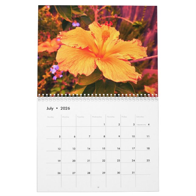 2025 Calendar with photography by Lindsay Strong  (Jul 2026)