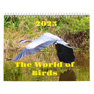 2025 Calendar World of Birds