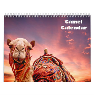 2025 Camel Calendar