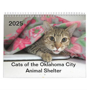2025 Cats of the Oklahoma City Animal Shelter Calendar
