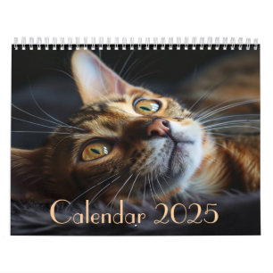 2025 Customisable Cat Calendar with Notes 