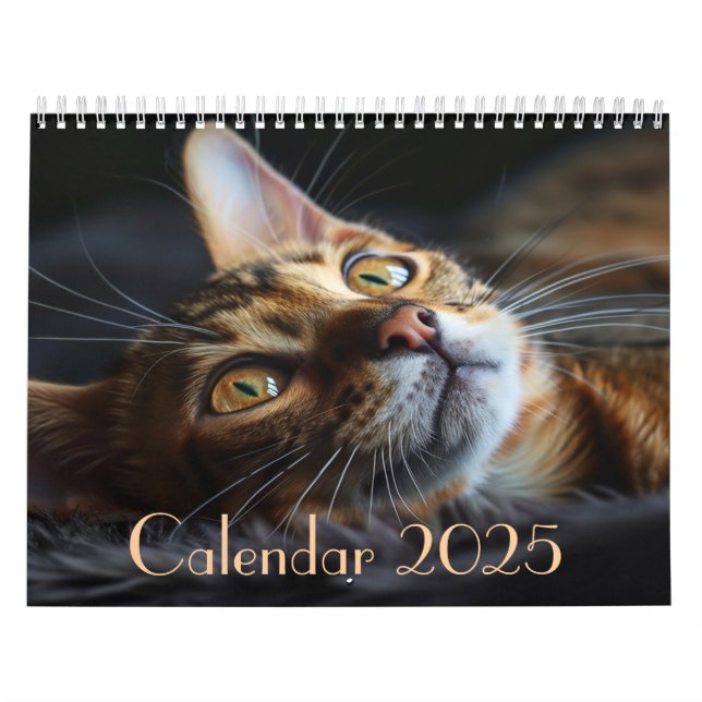 2025 Customisable Cat Calendar with Notes  (Cover)