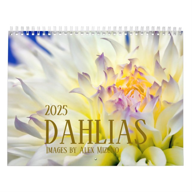 2025 Dahlia Calendar (Cover)