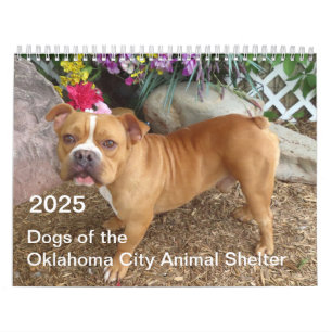 2025 Dogs of the Oklahoma City Animal Shelter Calendar