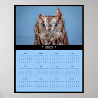 2025 Eastern Screech Owl Wall Calendar Poster