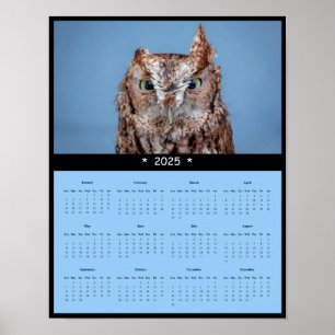2025 Eastern Screech Owl Wall Calendar Poster