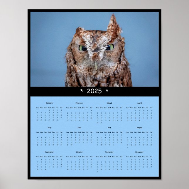 2025 Eastern Screech Owl Wall Calendar Poster (Front)